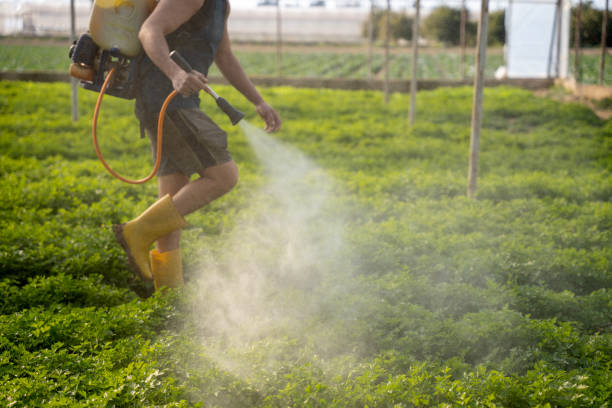 Best Commercial Pest Control Services  in Superior, WI