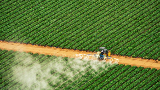 Pest Control Cost in Superior, WI