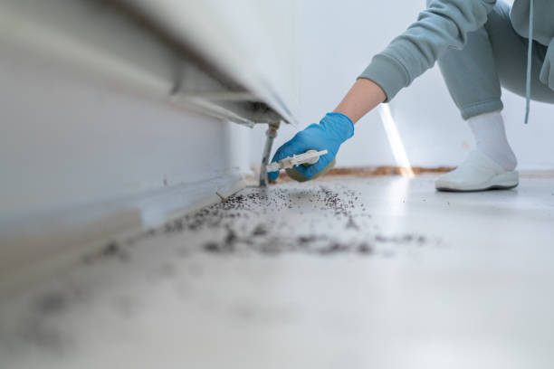 Best Pest Control Near Me in Superior, WI